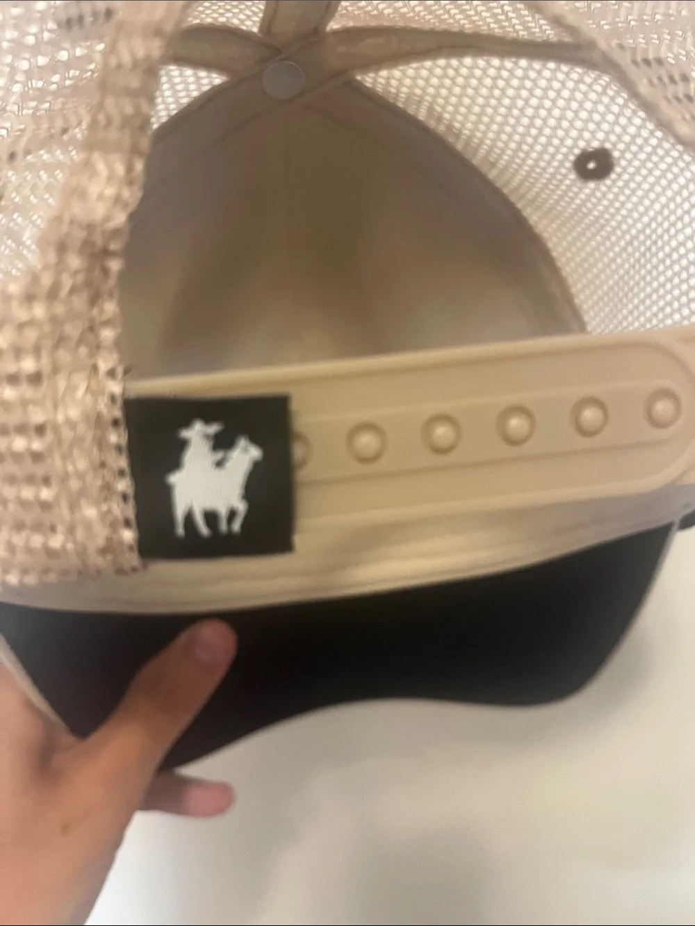 Baja Llama primos baja